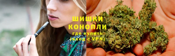 индика Красноперекопск