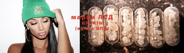 индика Красноперекопск