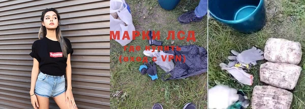 индика Красноперекопск