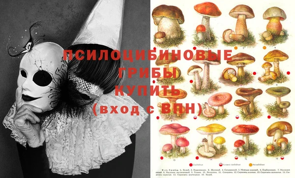 экстази Кулебаки