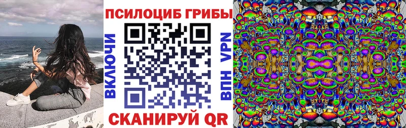 Псилоцибиновые грибы Psilocybine cubensis  Купить где  Шилка 